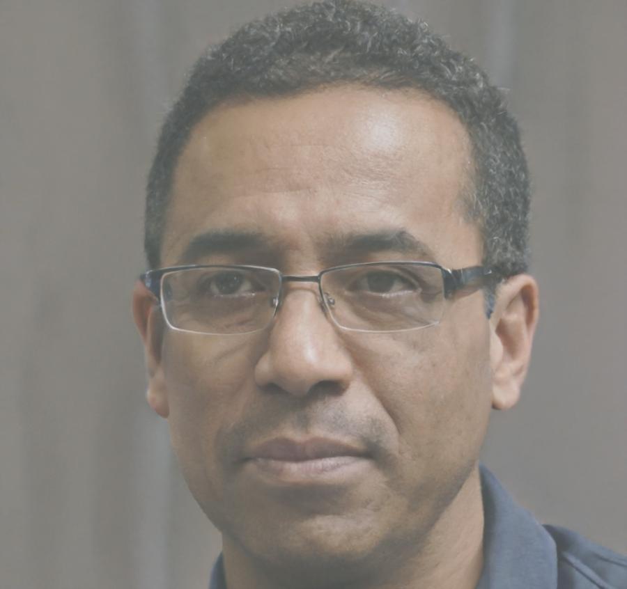 Portrait of Henrik Bramstrom, senior investment analyst